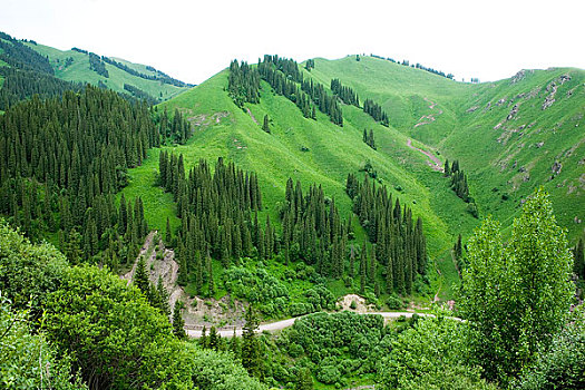 新疆伊犁地区－天山公路沿途风光