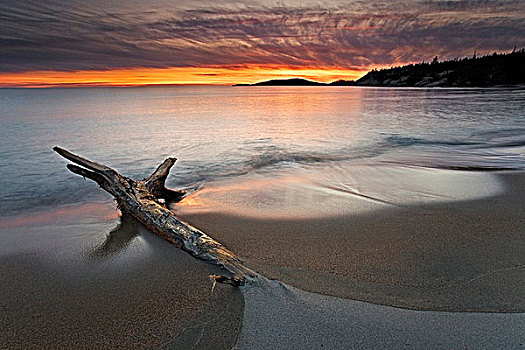 日落,沙滩,岸边,苏必利尔湖,安大略省,加拿大