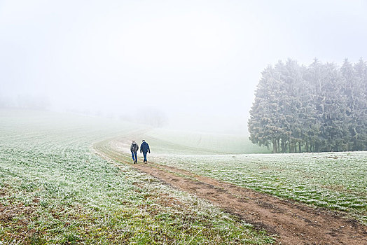 两个,远足,道路,雾,风景,奥登瓦尔德,德国,欧洲