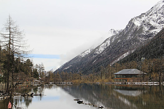 毕棚沟,川西,四姑娘山,雪山,高原彩林