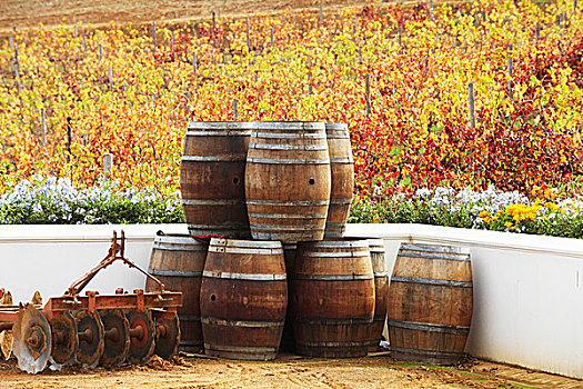 一堆,葡萄酒桶,葡萄酒厂,南非