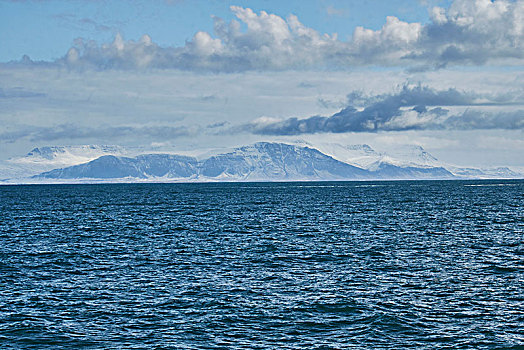 冰岛,雷克雅未克,港口,水,山,远景