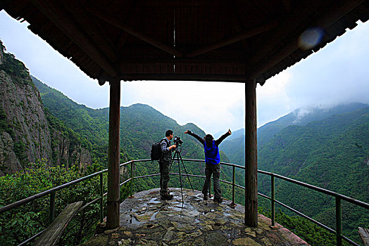 峡谷,高山,树林,森林,绿色