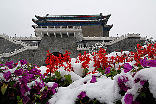 花,雪,正面,城市,大门,北京,亚洲