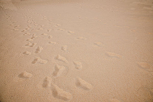 广东省深圳市大梅沙海滨浴场沙难中的脚印