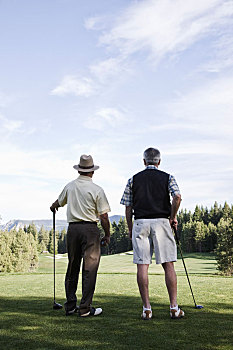 后视图,一对,老人,打高尔夫,检查,室外,高尔夫球道,高尔夫球场