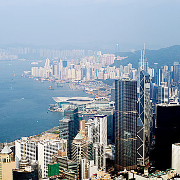 香港,城市,维多利亚港,大量,高层建筑