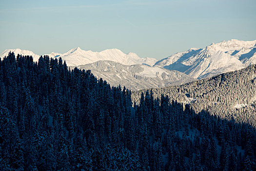 风景,冬天,阿尔卑斯山,提洛尔,奥地利