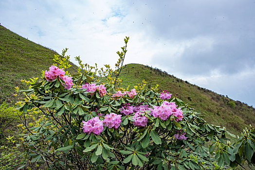 狮子口山峰