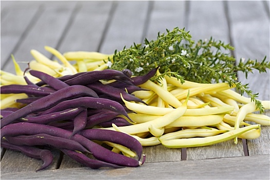 紫色,黄色,豆,药草