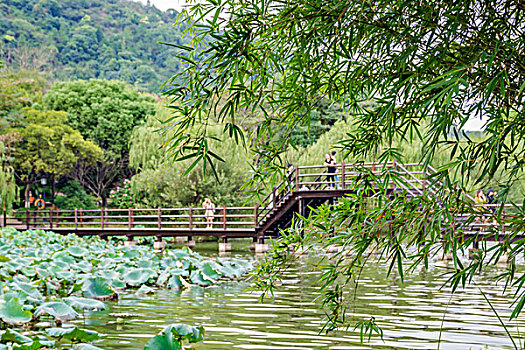 园林景观木拱桥