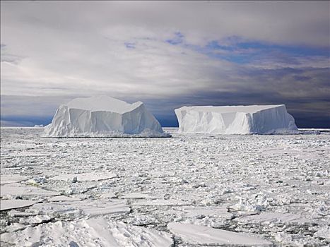 冰山,靠近,富兰克林,岛屿,南极