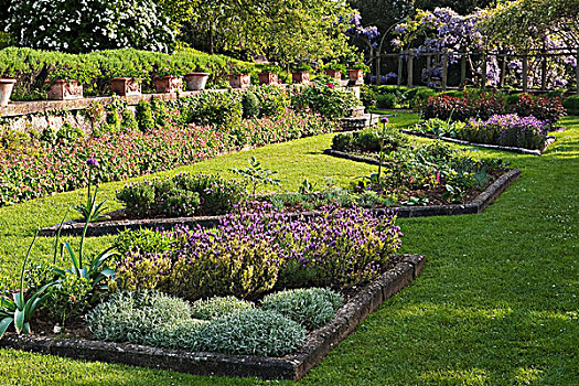 玫瑰园,花坛,形状,石头,排列,陶制器具,紫藤