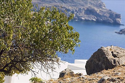 岩石构造,海边,罗得斯,多德卡尼斯群岛,希腊