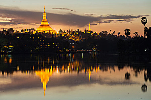 缅甸,仰光,黃昏,大金塔