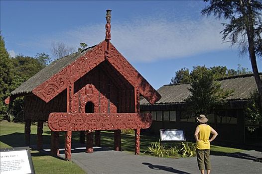 雕刻,毛利人,法卡雷瓦雷瓦,罗托鲁瓦,新西兰