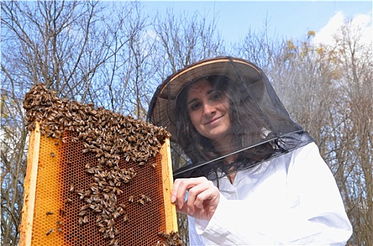 女孩,养蜂人,蜂场