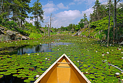 独木舟,安大略省,加拿大