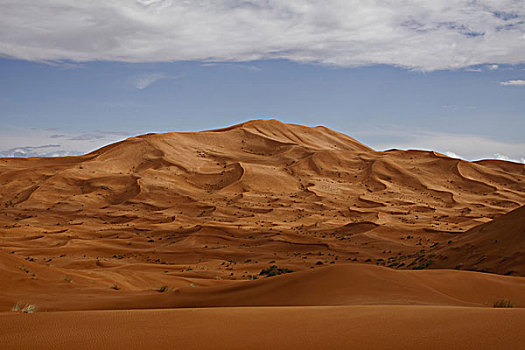 非洲,北非,摩洛哥,撒哈拉沙漠,梅如卡,却比沙丘
