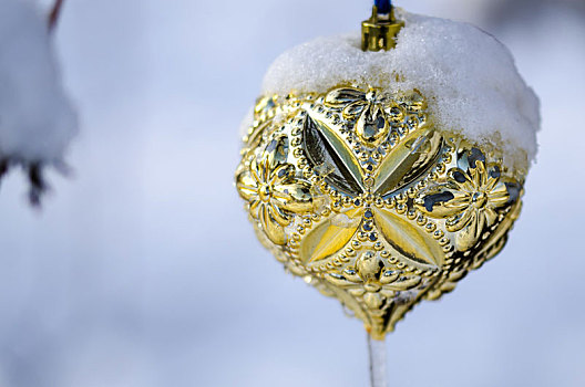 冰冻,金色,圣诞饰品,装饰,雪,户外,树