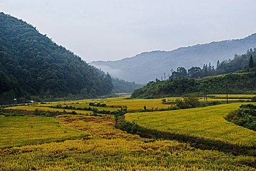 徽州田园风光