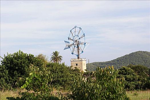 风车,靠近,伊比沙岛
