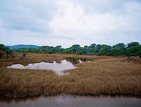 风景