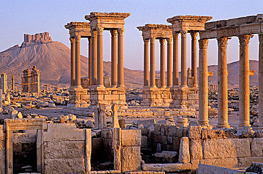 叙利亚,帕尔迈拉,遗迹,世界遗产,阿拉伯,城堡,背影