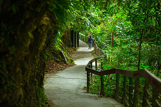 台湾花莲太鲁阁风景区著名的砂卡礑步道