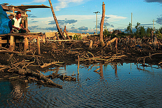 一个,男人,祈祷,地点,红树,区域,毁坏,海啸,十二月,2004年,印度尼西亚,七月,2007年