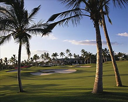 夏威夷,毛伊岛,高尔夫球场,背景,棕榈树,前景