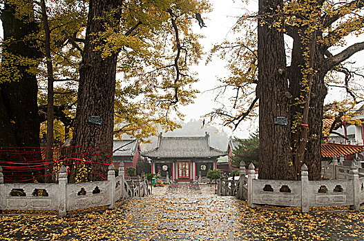 文殊寺