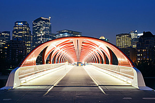 卡尔加里,加拿大,八月,平和,桥,夜晚,设计,圣地亚哥,步行桥,连接,弓河,地标,城市