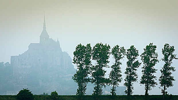 雾气,树,诺曼底,法国