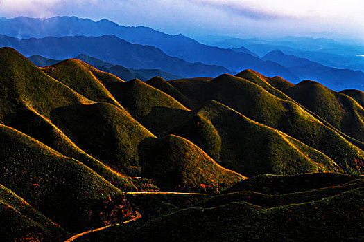 映山红,杜鹃,群山,云,雾,花,太阳,美景,风光,春天,高山杜鹃,花朵,云层,路,路面,山脊