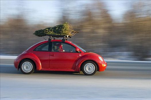人,驾驶,道路,树,系,汽车,阿拉斯加,冬天,动感,模糊