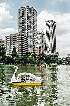 踏板,泛舟,上野公园