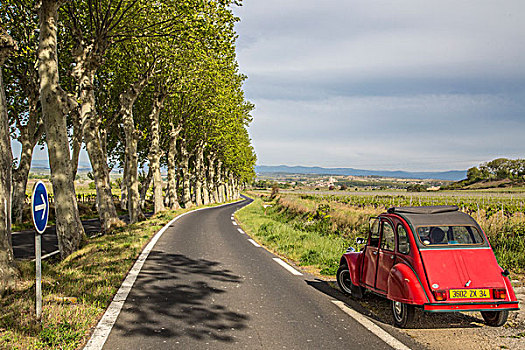 乡间小路,悬铃木,红色,雪铁龙,朗格多克-鲁西永大区,法国,欧洲