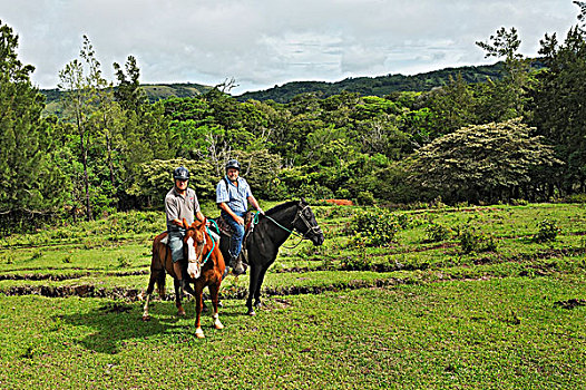 两个,老人,游客,骑马,靠近,哥斯达黎加,中美洲