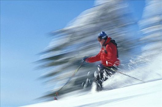 大,山,蒙大拿,冬天,下坡,滑雪者,滑雪,模糊,白雪,肖像