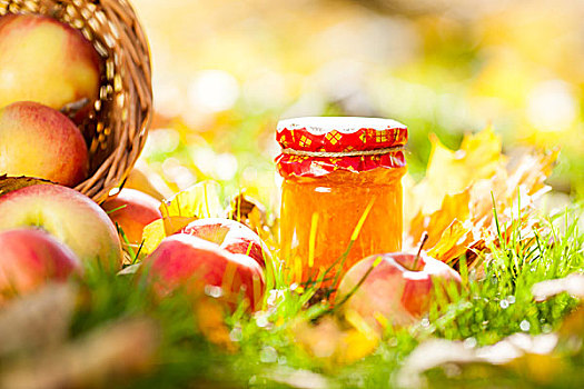 果酱,罐,红苹果,草,秋天,丰收,概念