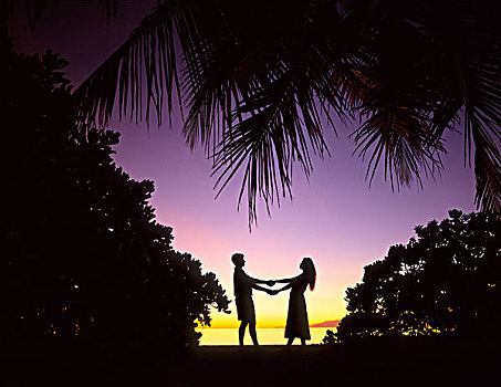 伴侣,日落,马尔代夫,印度洋