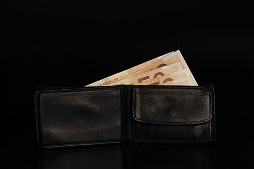 皮夹,欧元,货币