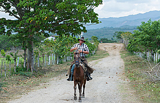 特立尼达,古巴,牛仔,骑马,骑,水塘,小路,牧场,帽子,人,衣服