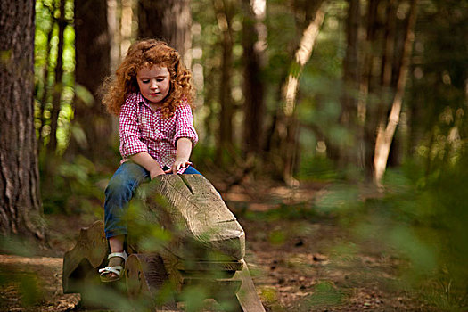 诺丁汉郡,英国,孩子,玩,松树,树林,公园