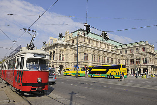 有轨电车,观光,巴士,维也纳,奥地利