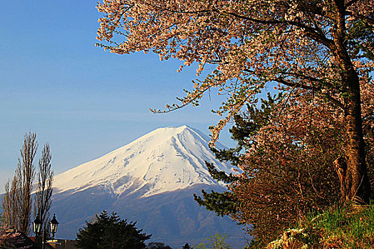 富士山