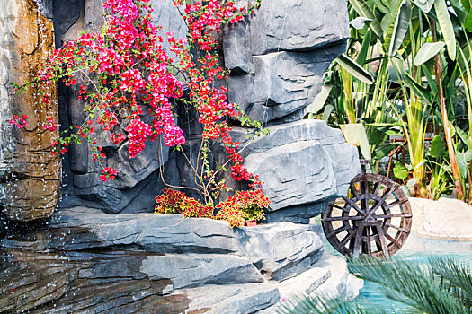 临沂兰陵国家农业公园热带雨林人造瀑布花朵美图