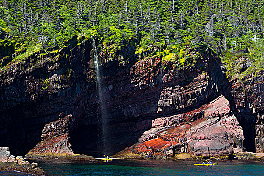 海上皮划艇,沿岸,悬崖,生态,自然保护区,纽芬兰,加拿大