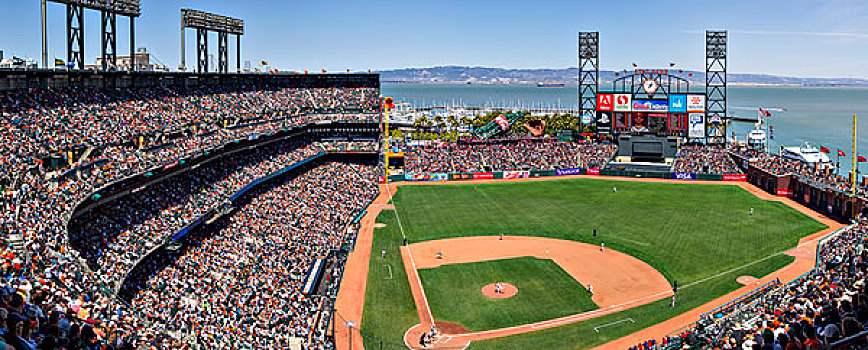 全景,公园,旧金山,棒球赛,加利福尼亚,美国,大幅,尺寸